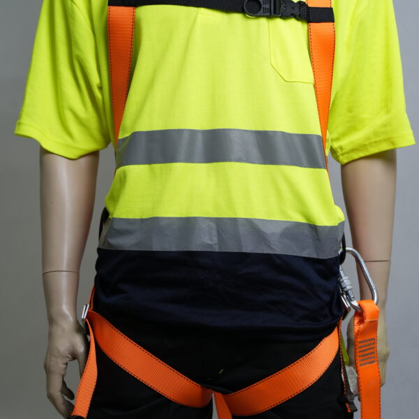 Delta Plus ELARA160V2 – zestaw do asekuracji